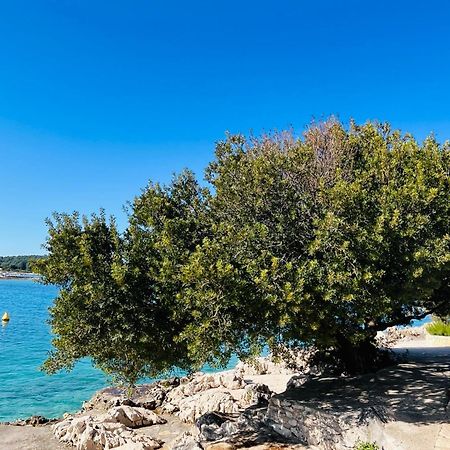 Apartmani Mate Rogoznica  Dış mekan fotoğraf