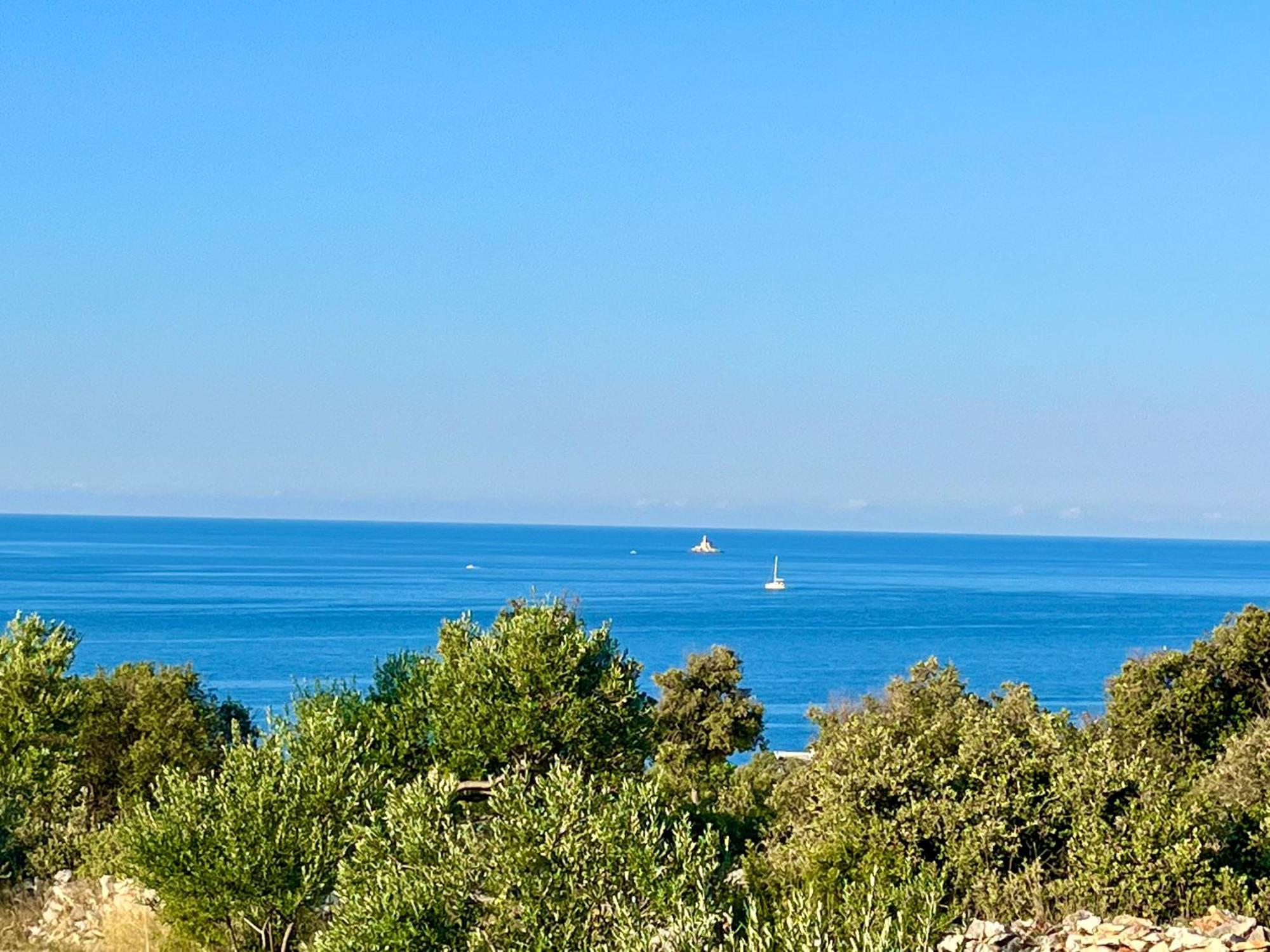 Apartmani Mate Rogoznica  Dış mekan fotoğraf