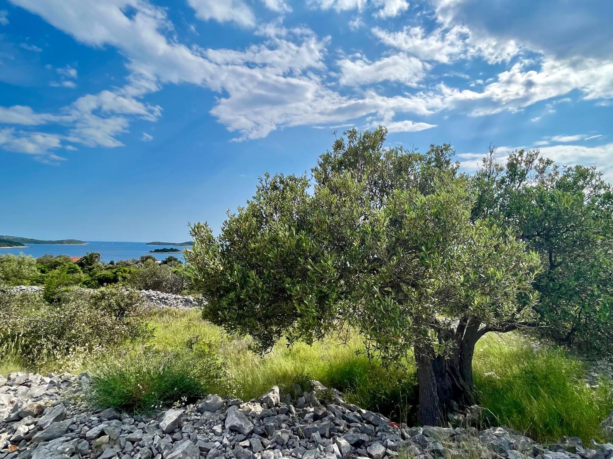 Apartmani Mate Rogoznica  Dış mekan fotoğraf