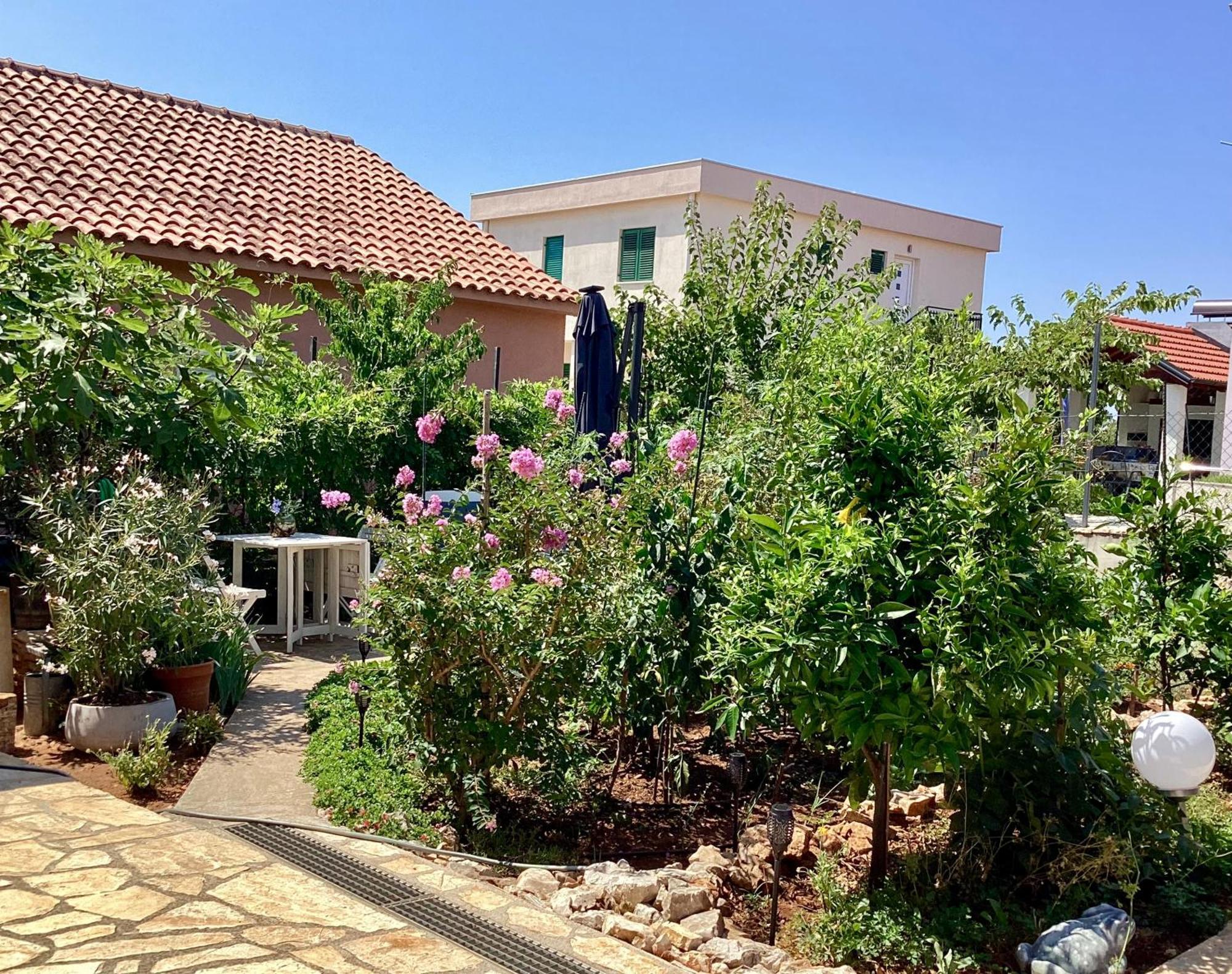 Apartmani Mate Rogoznica  Dış mekan fotoğraf